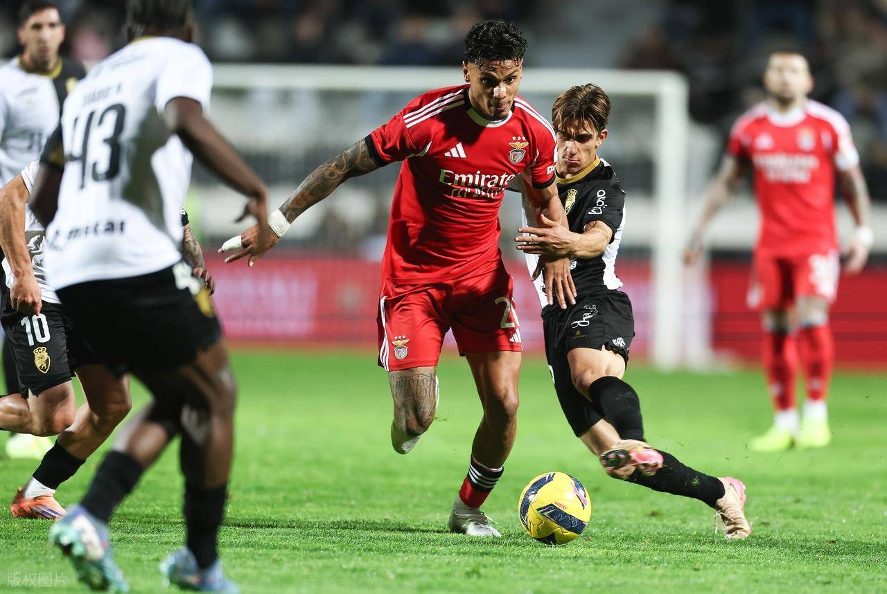 葡超：本菲卡状态正佳，法马利康能否全身而退？本菲卡VS法马利康